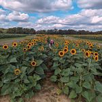 Steve Spinelli - @rogaine69 - Instagram