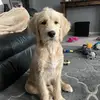Steven Standafer - @stevenstandafer - TikTok