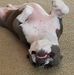 Steven Stanfill - Facebook