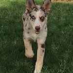 Steve Stapleton - @steve.stapleton.9 - Instagram
