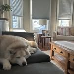 Steve Stapleton - @steve.stapleton.798 - Instagram