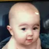 stevestapleton - @stevestapleton - TikTok