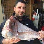 Steve Stavrou - @steve_stavrou - Instagram