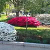 Steve St Clair - @steve.st.clair8 - TikTok