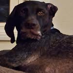Steve StClair - @steve.stclair.169 - Instagram