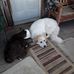 Steve StClair - Facebook