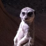 Steve Stedman - @stedman - Instagram