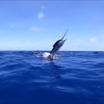 Steve Stefan - @grizlee19 - Instagram