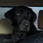 Steve Stefan - @steve_stefan__2019 - Instagram