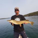 Steve Steinhauer - @jester.273 - Instagram