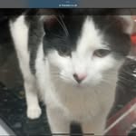 Steve - @stevesteinmanthe1st - Instagram