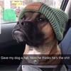 stevesteinman699 - @stevesteinman699 - TikTok