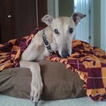 Steve Stilwell - @stilwell.steve - Instagram