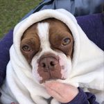 Steve Stine - @svstine - Instagram
