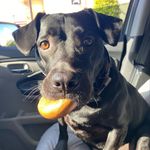 Steve Stoll - @steve8545111 - Instagram