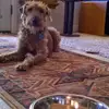 Steve Stolley - @steve.stolley - TikTok