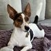 Steffi Stoll - Facebook