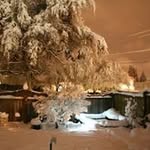 Steve Stolp - @stolpsteve - Instagram