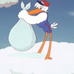 Steve - @steve_the_stork - Instagram