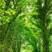 Steven Strausbaugh - Facebook