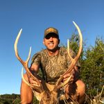 Steve Strauss - @sdstrauss3 - Instagram