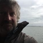 Steve Strauss - @stevendstrauss - Instagram