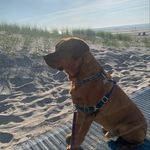 Steve Streeter - @steve_streets - Instagram