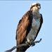 Steve Streeter - Facebook