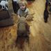 Steve Streeter - Facebook
