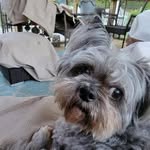 Steve Stricklin - @steve58266 - Instagram