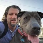 Steve Stringer - @sstringer - Instagram