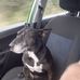 Steve Stringer - Facebook