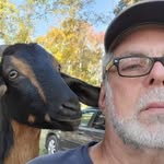 Steve Stroupe - @steve.stroupe - Instagram