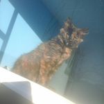 steve_stubbs - @stevie_stubbs - Instagram