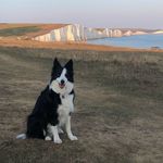 Steve Stubbs - @stevestubbs56 - Instagram