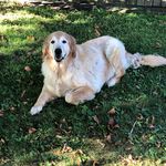 Steve Stull - @steve.stull.102 - Instagram