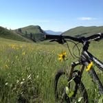 Steve Stuller - @stevestuller - Instagram
