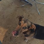 Steve stumpf - @steve.stumpf - Instagram