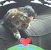 Steven Summers - Facebook