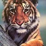 @steve_summey0 - Instagram