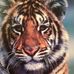 Steve Summey - Facebook