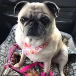 Steve Svendsen - @steve_svendsen - Instagram