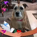 Steve Sword - Facebook