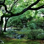 Steve Tanaka - @stevetanakaa - Instagram