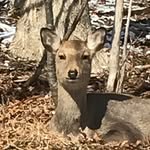 steve_tanakaa - @steve_tanakaa - Instagram