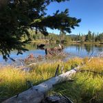 Steve Teets - @steve.teets.9 - Instagram