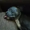 Steve Temple - @steve.temple3 - TikTok