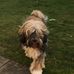 Stephen Tennison - Facebook