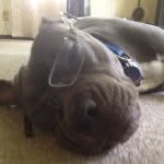 Steven Terpstra - @steve_the - Instagram