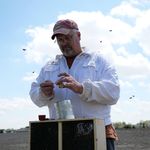 steve terwilliger - @steve.terwilliger - Instagram